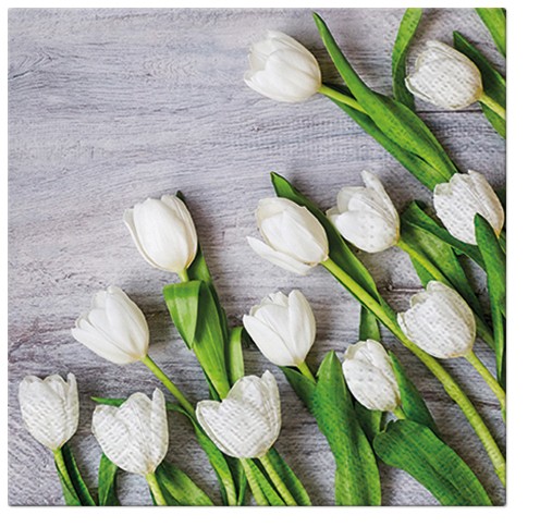 Serwetki Białe Tulipany 139835 Art-Pol