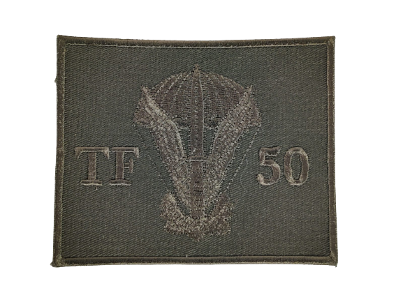 Lubliniec Strike Team badge no. 50 oliv