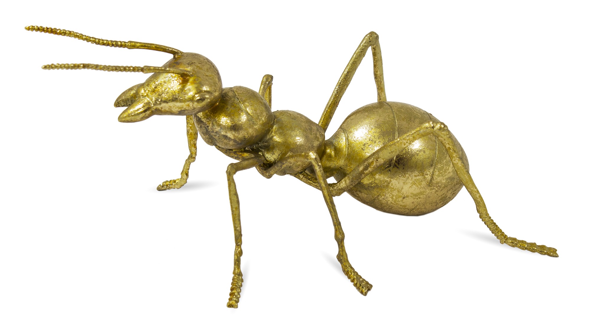 Ant figure 114581