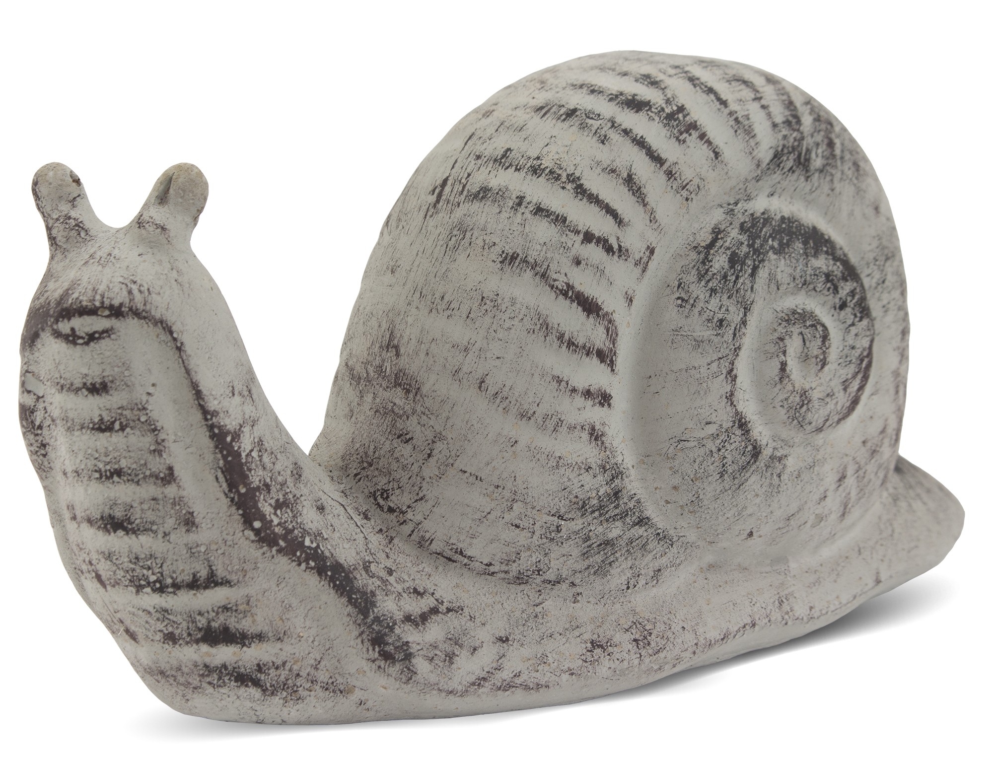 Figure 1212 Snail