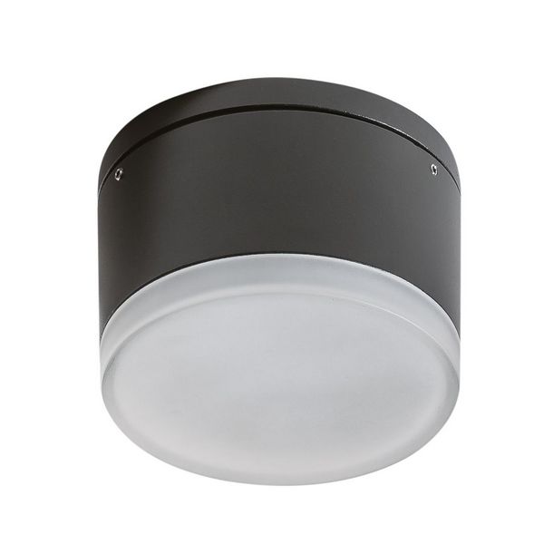 APULIA R LED outdoor plafond lamp Ø10.8cm 10W 3000K IP54 dark grey Azzardo AZ4335