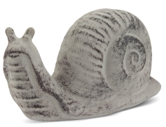 Figure 1212 Snail