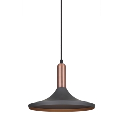 Single overhang lamp LUSTY gray Italux MDM-3027/1 GR + RC