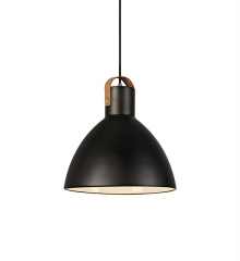 Single overhang lamp EAGLE 22cm black Markslojd 106552