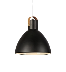 Single overhang lamp EAGLE 35cm black Markslojd 106550