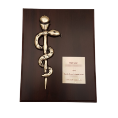 Medium Eskulap + tablo + dedication medicine symbol bas-relief Brass