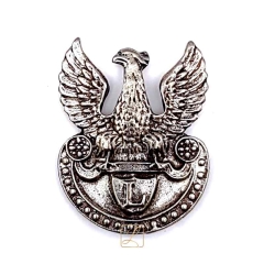 Legion eagle pin - PINS
