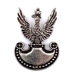 Pin with eagle with amazon shield pattern 1919