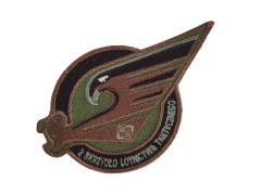 Poznan 2nd Tactical Air Wing badge (field)
