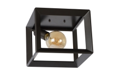 Thor Lucide 73102/01/15 ceiling lamp