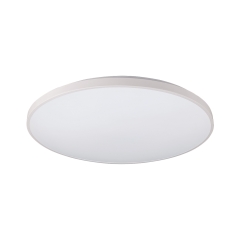 Lampa plafon AGNES ROUND LED  1xLED IP44 kolor biały Nowodvorski 8210