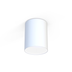 Lampa plafon CAMERON  1xE27 IP20 kolor biały Nowodvorski 9685