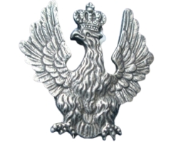 Nineteenth century eagle charge pin - PINS