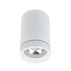 Bill LED ceiling lamp 10W 4000K white Azzardo AZ3375