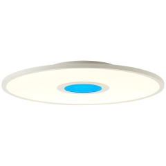 Odella lampa plafon LED RGB z pilotem Ø 45cm 24W 2700-6500K biała Brilliant G97083/05