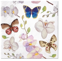 Pl Serwetki Orchidea Butterfly 170571