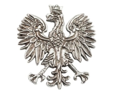 Contemporary eagle pin - PINS