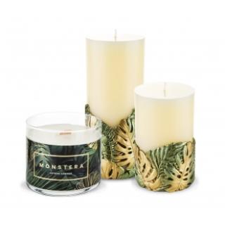 Category Monstera candles image